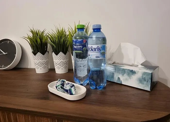 Appartement Kamienica 54- Okole Bydgoszcz